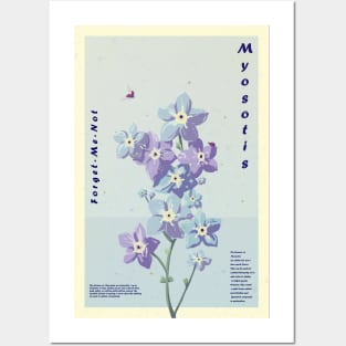 Myosotis Posters and Art